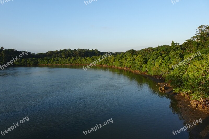 Austen Strait Andaman Flora Vegetation Sea