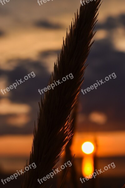 Nature Sunset Landscape Sky Evening