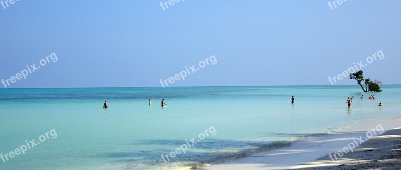 Sea Beach Shallow Havelock Bathing