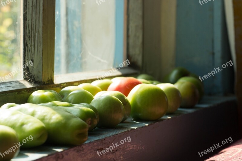 Tomatoes Window Nutrition Healthy Vegetables