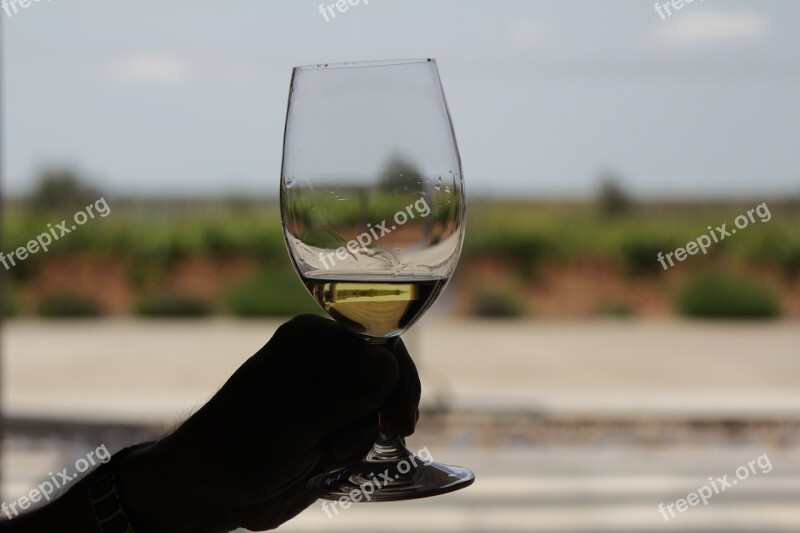 Wine Glass White Wine Wine Glasses Transparent Benefit From