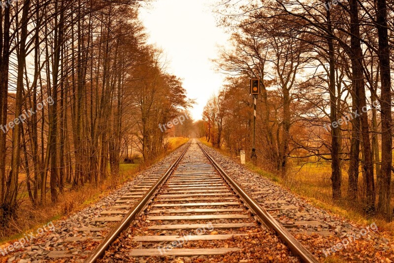 Trees Autumn Railway Track Forest