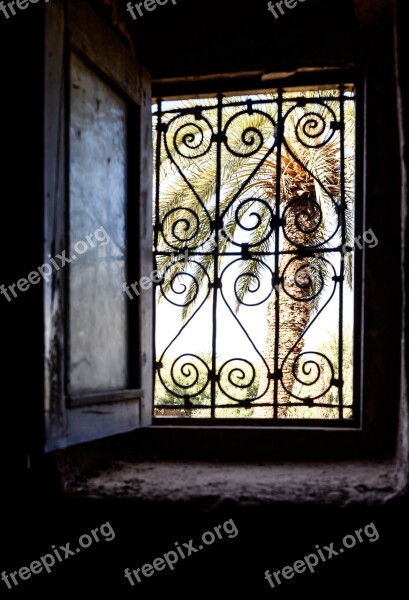 Palm Window Morocco Kasbah Tourism