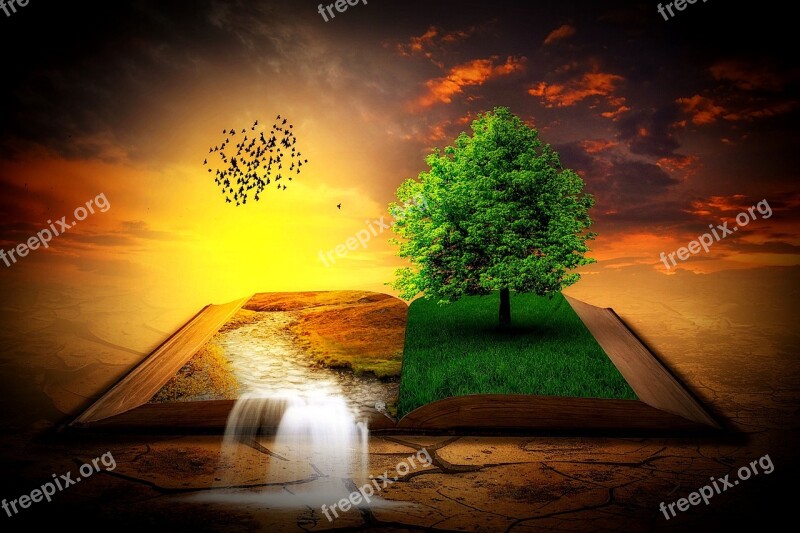 Book Landscape Tree Waterfall Birds