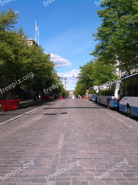 City Street Buses Summer Urban