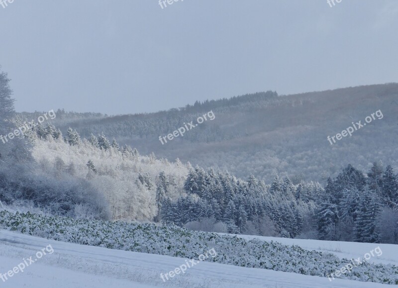 Winter Wintry Snow Nature Landscape