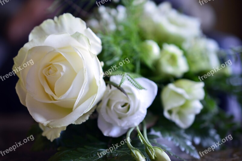 Roses Flowers Rose Bloom White Floral Arrangement