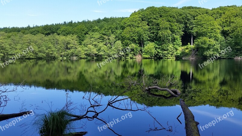 Lake Landscape Woods Water Nature