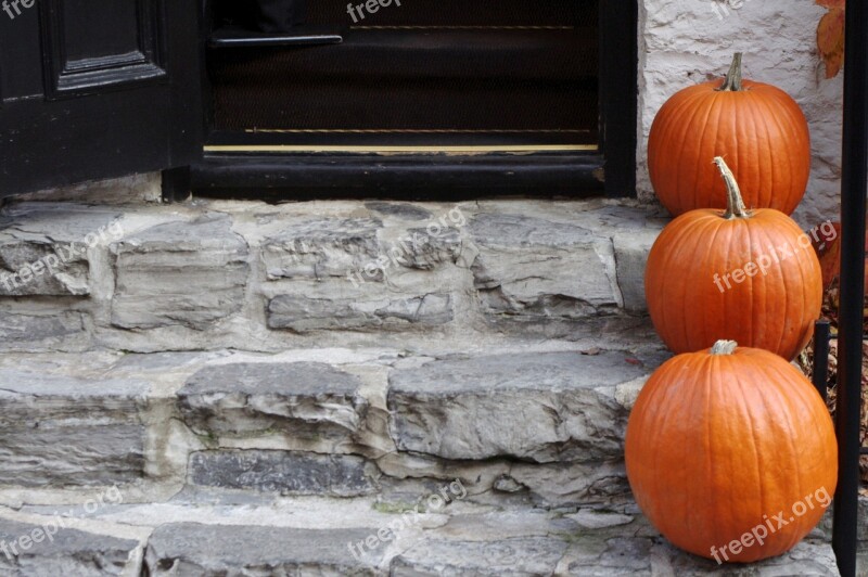 Pumpkin Halloween Decoration Fall Harvest