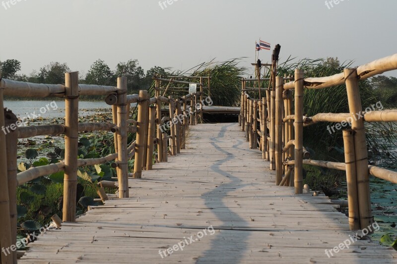 Bridge Swamp Nature Marsh The Landscape