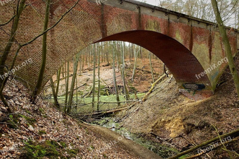 The Viaduct The Brook Forest Torrent Tree