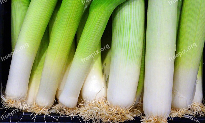 Leek Vegetables Fresh Bio Food