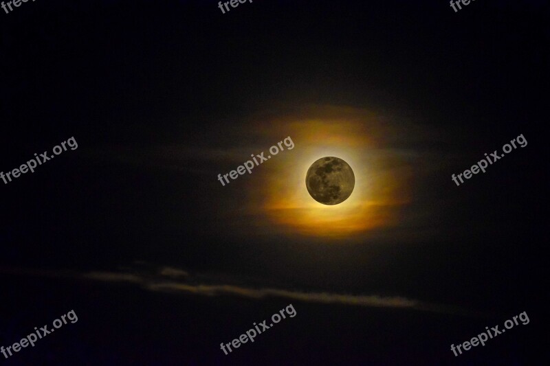 Luna Full Moon Perigee Free Photos