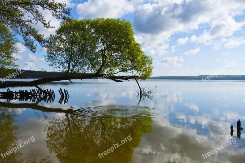 Germany Neubrandenburg Mecklenburg Western Pomerania Lake Tollensesee Nature