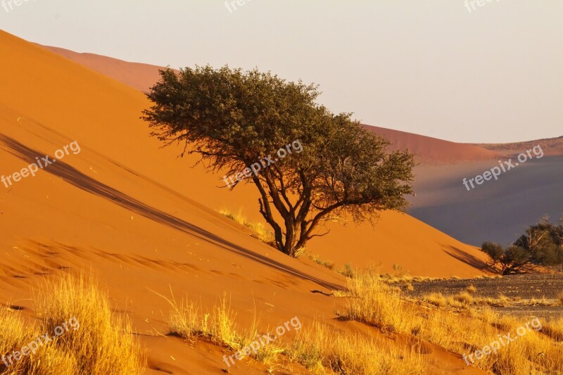 Africa Namibia Namib Desert Nature Dry