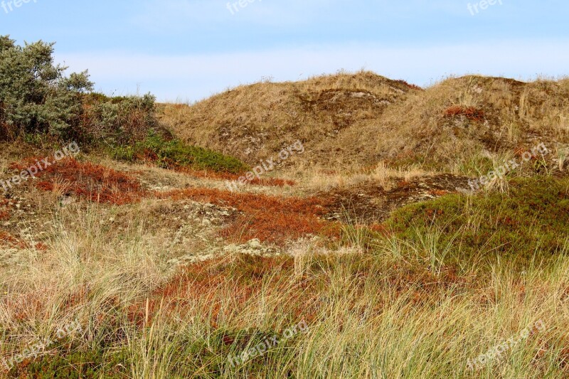 Langeoog Dune Sky Coast Nature