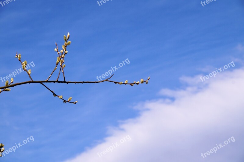 Heaven Sky Blue Clouds Vernal