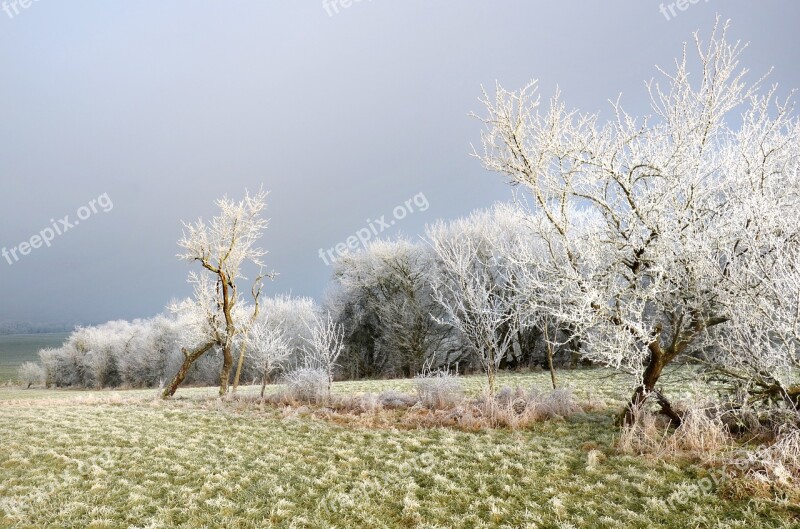 Frost Field Mirabelier Fog Sun