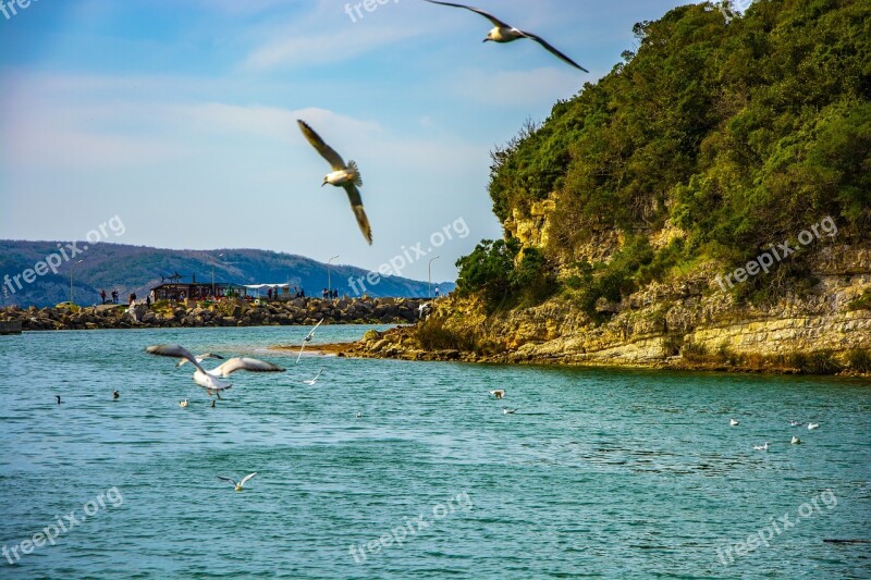 Ağva Marine Nature Turkey Landscape