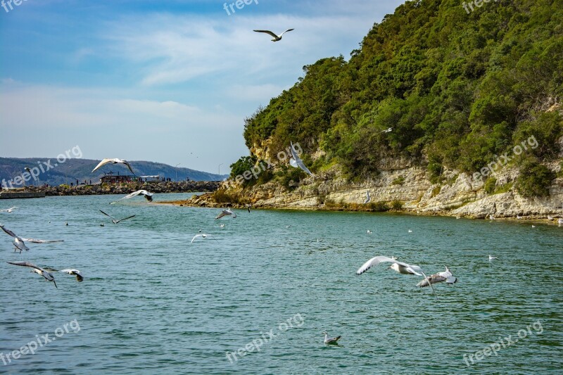 Ağva Marine Nature Turkey Landscape