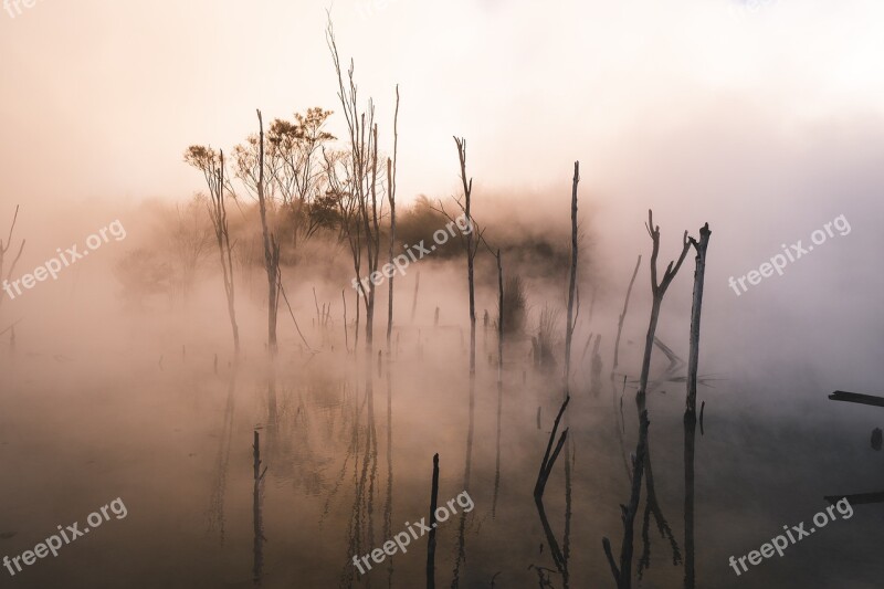 Water Sunset Trees Plant Bushes