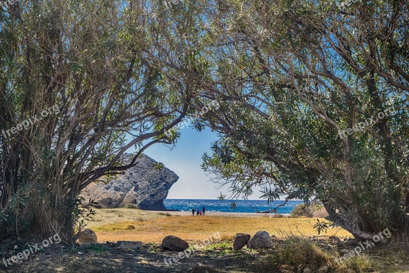 Beach Sea Nature Cabo De Gata Monsul