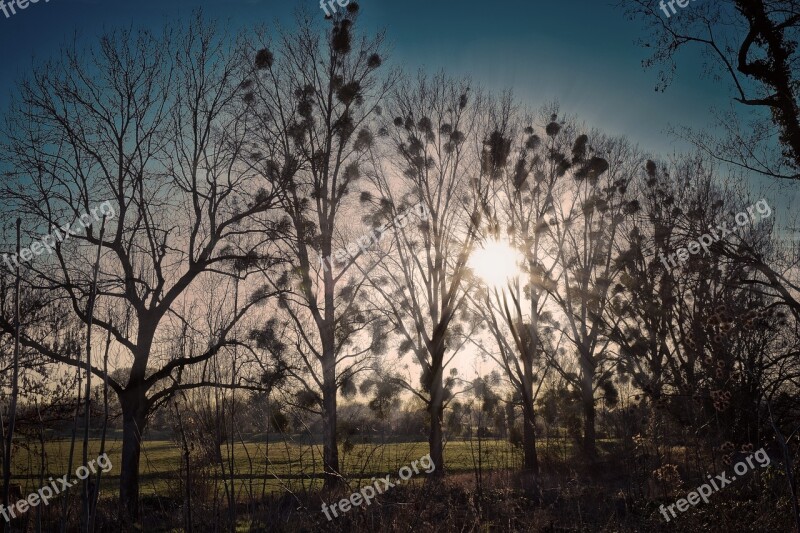 Landscape Trees Nature Scenic Sky