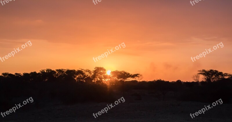 Sunset Trees Nature Sky Landscape