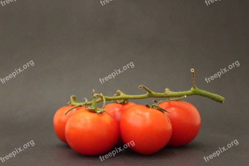 Green Handle Tomato Tomatoes Plant