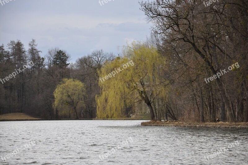 Nature Landscape Forest Sky Water