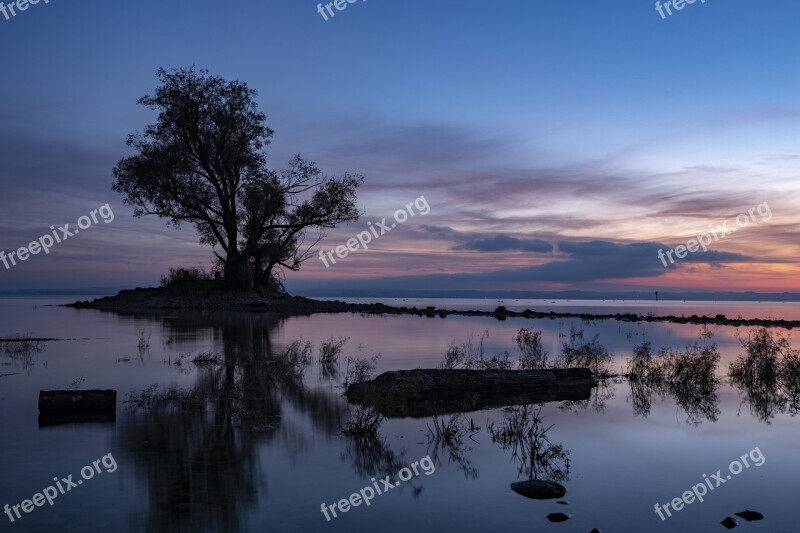 Hard Lake Tree Sunrise Sunset