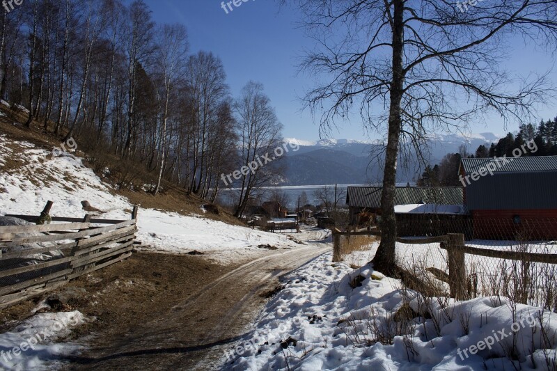 Spring Snow Nature Tree Village