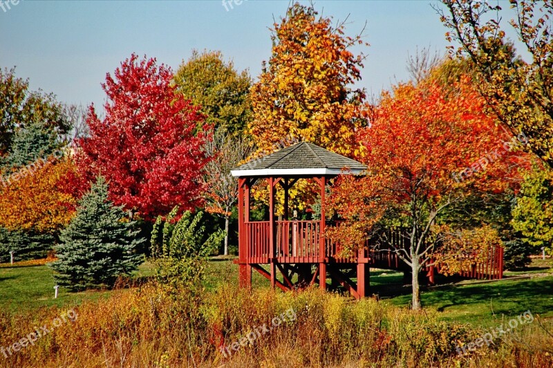 Trees Gazebo Fall Nature Free Photos