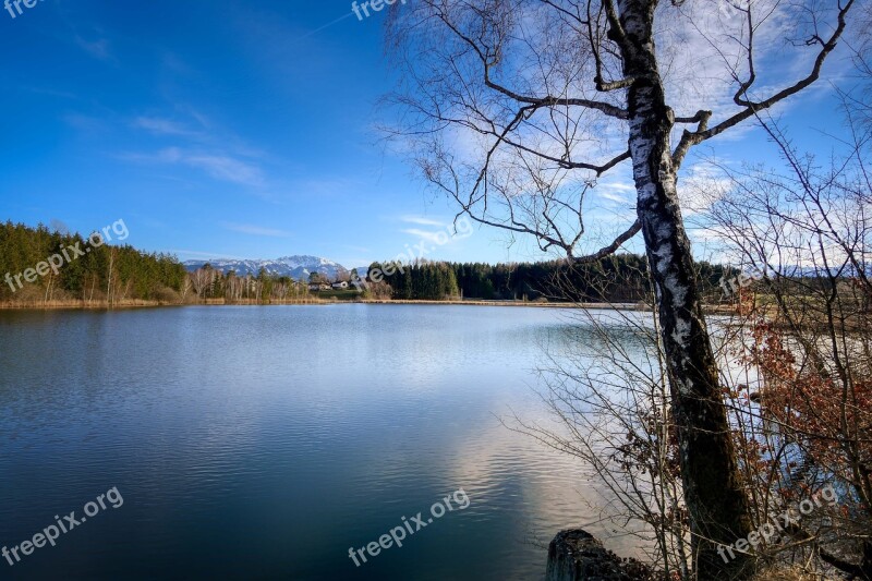 Lake Tree Water Landscape Waters