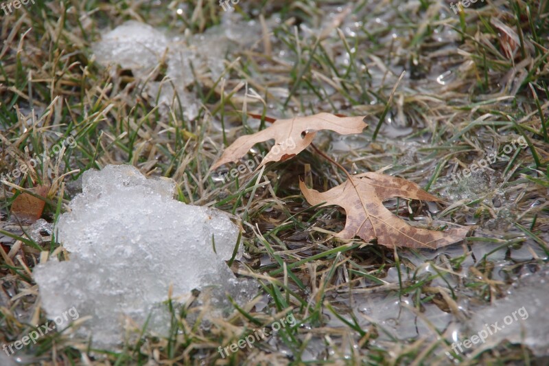 Snow Melt Spring Leaves Water