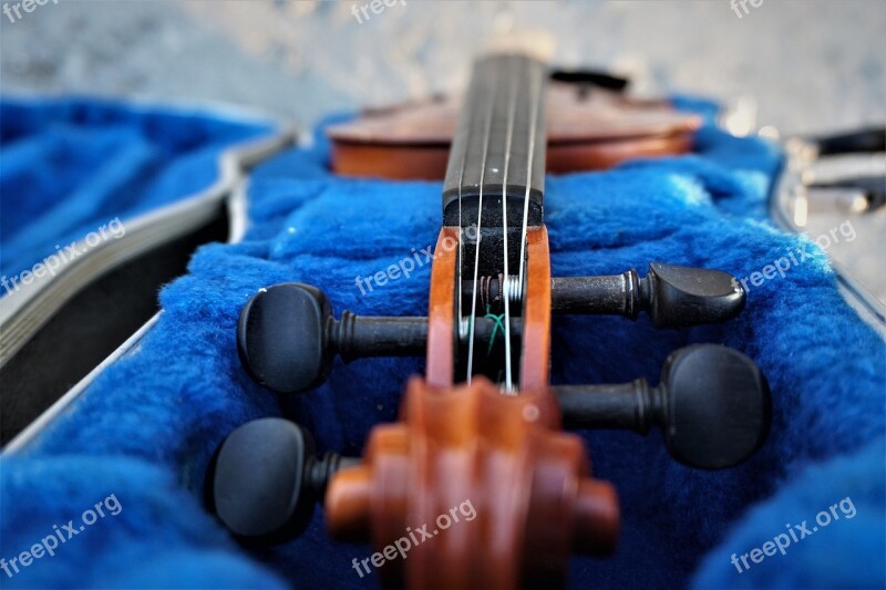 Violin Instrument Music Orchestra Musician