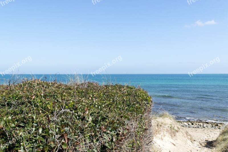 Beach Sea Sky Blue Bush