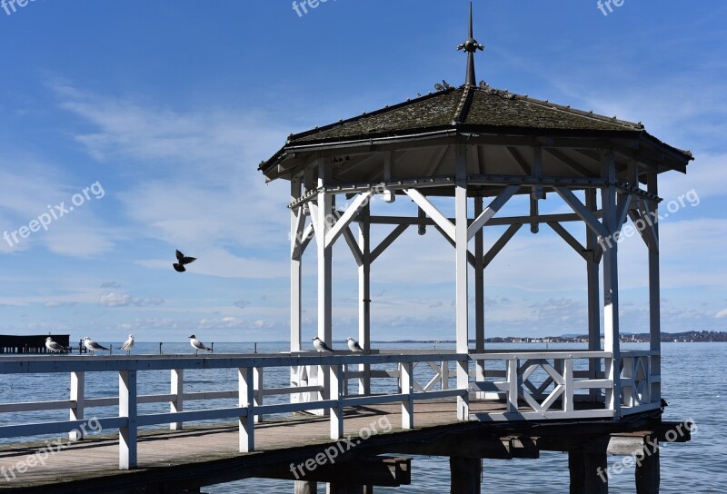 Web Lake Bank Water Gulls