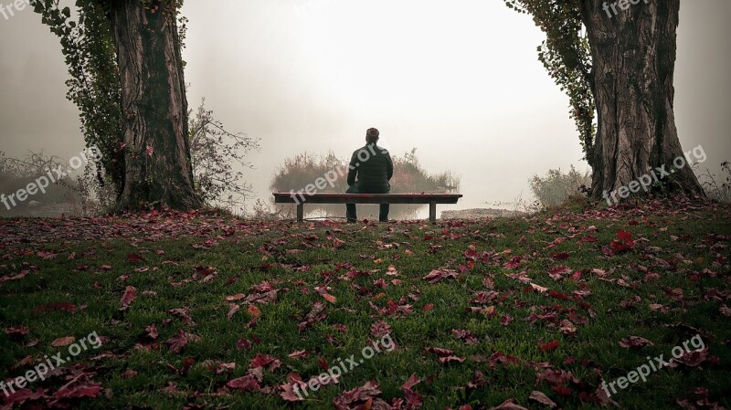 Autumn Man Nature Hiking Human