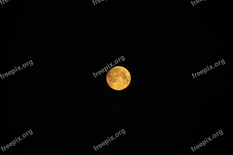 Moon Night Full Moon Sky Free Photos