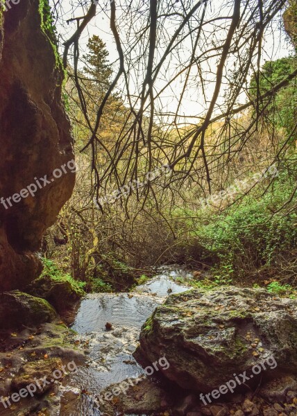 Cave Creek Stream Nature Scenery