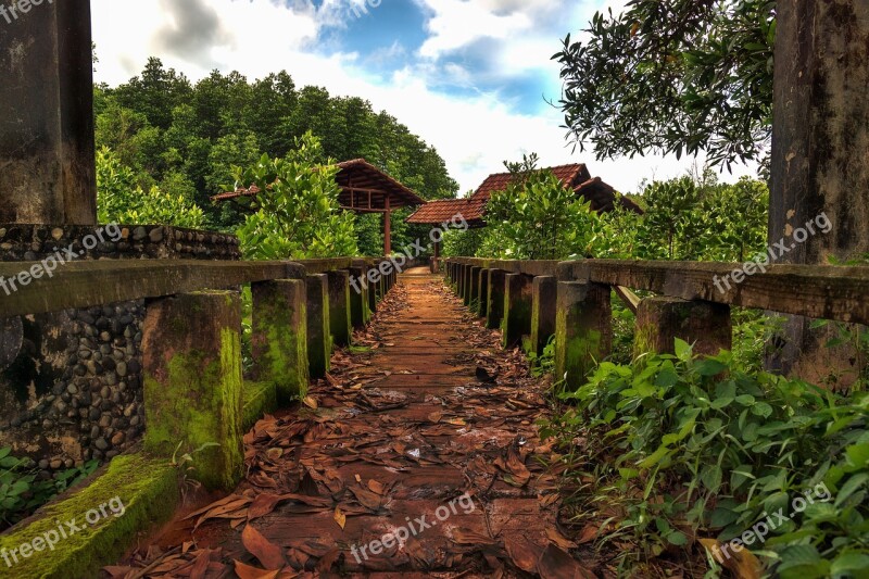 Mangroves Koh Chang Thailand Landscape Paradise