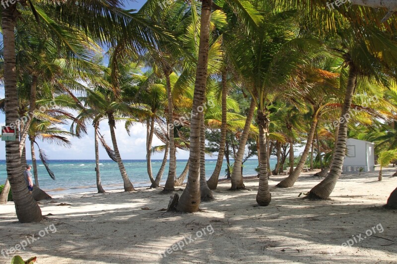 Beach Tropical Caribbean Sand Exotic