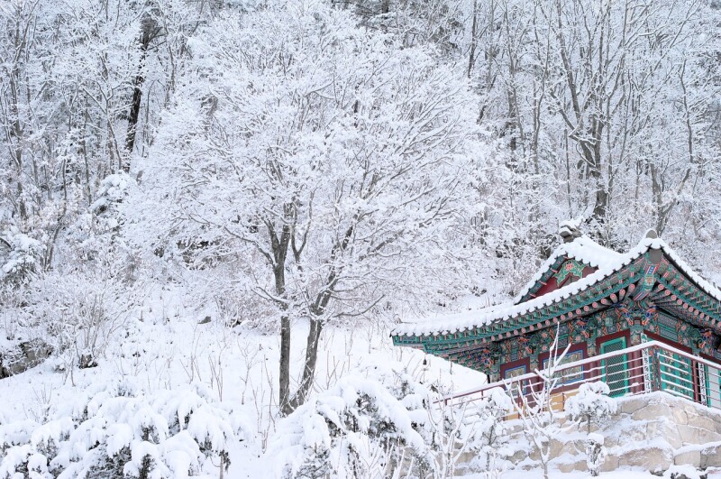 Snow White Korea Temple Buddihism