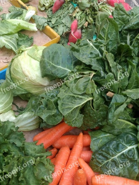 Vegetables Carrot Carrots Healthy Food