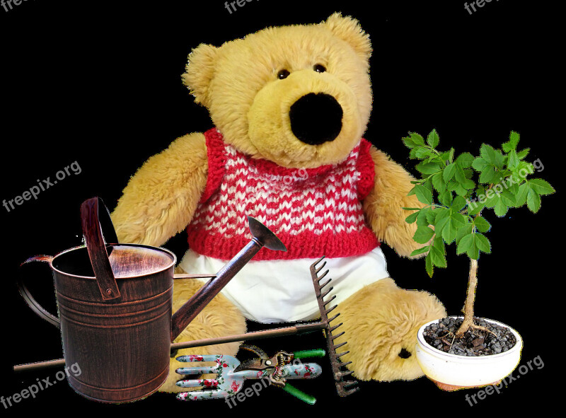 Teddy Bear Toy Gardener Cute