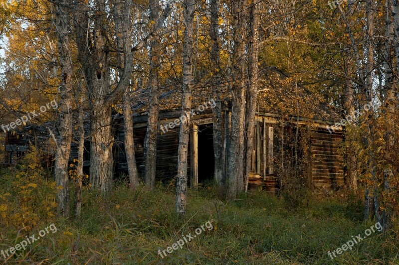 Abandoned Cabin Wood Rustic Shack