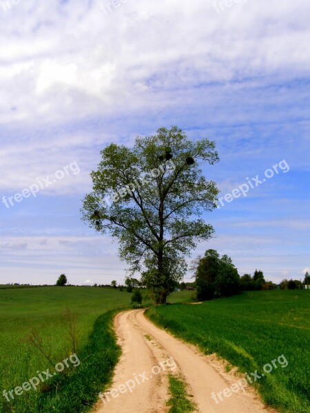 Tree Village Landscape Nature Sky