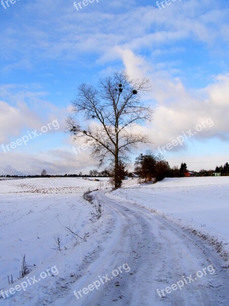 Snow Landscape Village Nature Winter