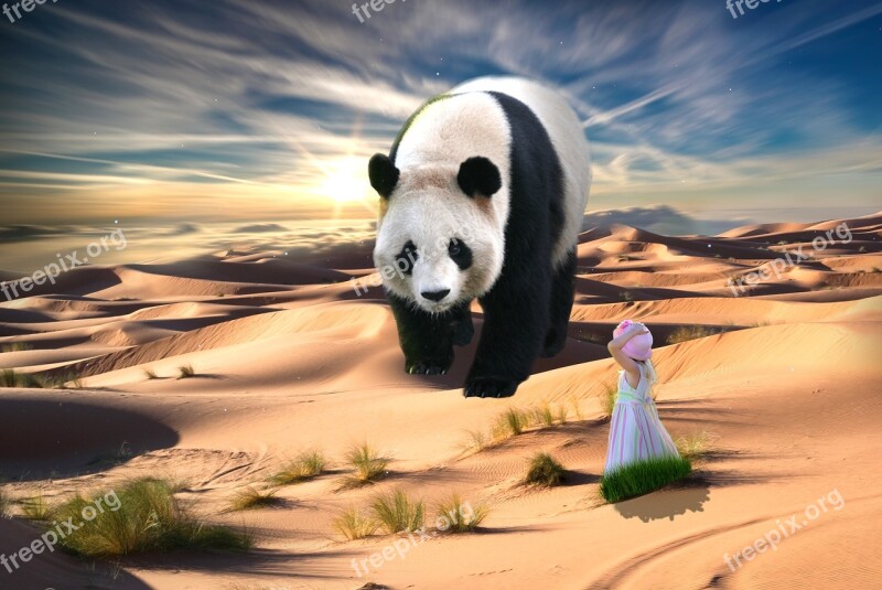 Nature Girl Panda Surreal Free Photos